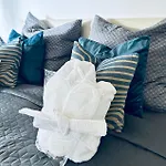 Palmen Oase, Relax & Wellness * Saarburg