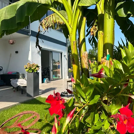 Appartement Palmen Oase Saarburg, Exklusives Retreat Mit Pool, Palmen Und Traumhafter Aussicht *
